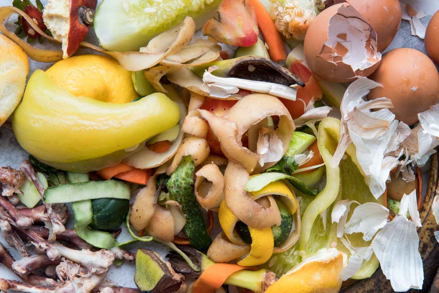 rác thải hữu cơ gây mùi - rác thải thực phẩm