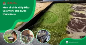 Bể hiếu khí nước thải cao su cần xử lý Nito & Amoni