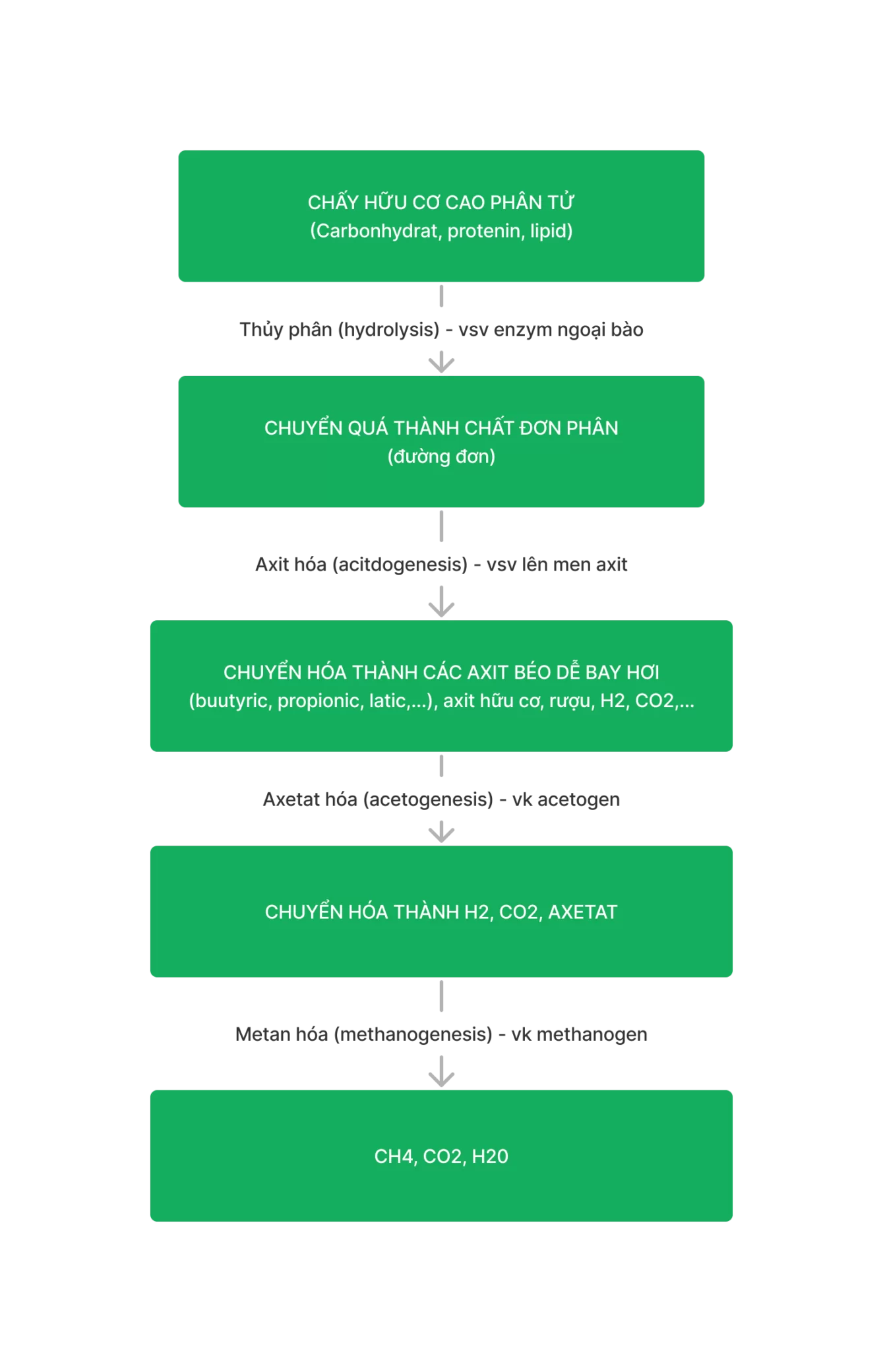 Sơ đồ quy trình xử lý sinh học nước thải trong bể kỵ khí - Enviclean 900